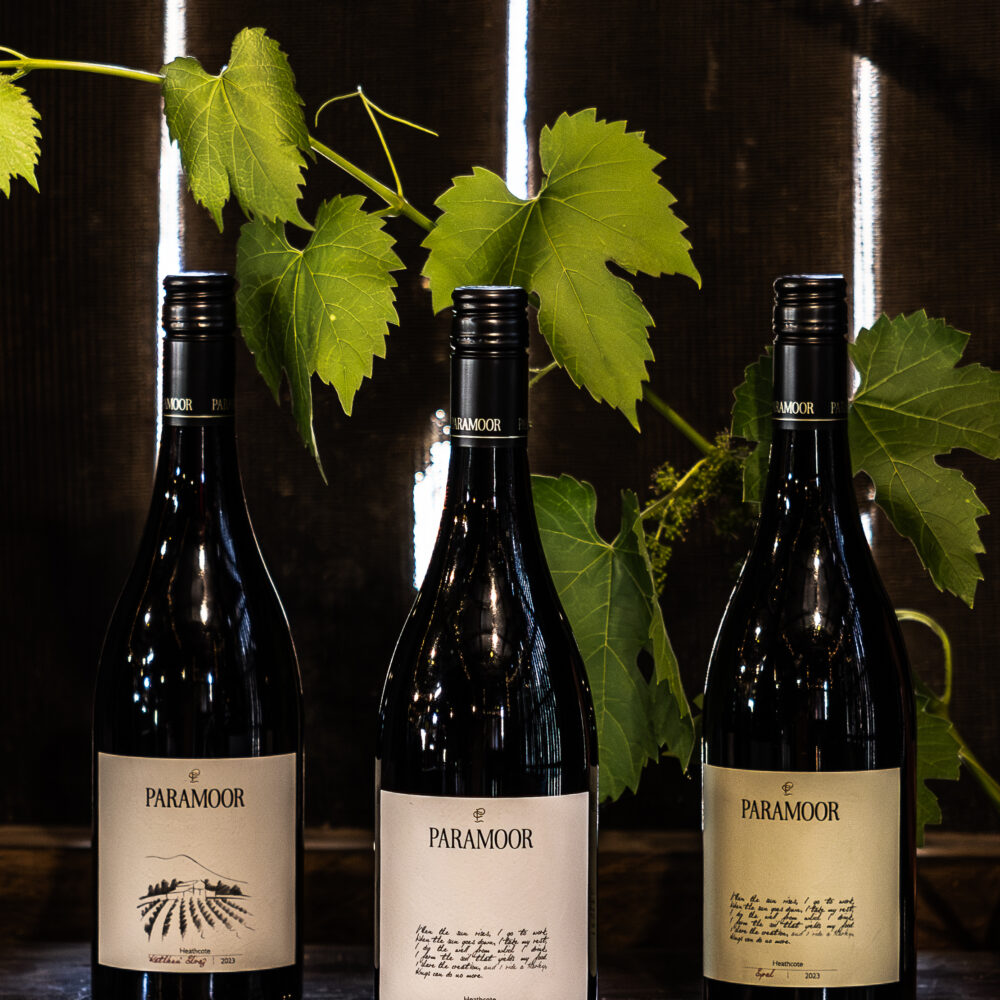 Fathers Day Tasting Pack